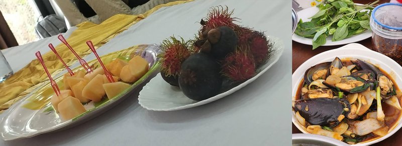 Laotian food during field work | Photo: training field team