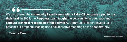 Quilombolas - Palm Oil Plantation.jpg