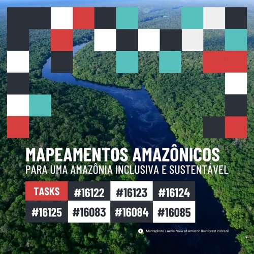 Tasking Manager - Português 1.jpg