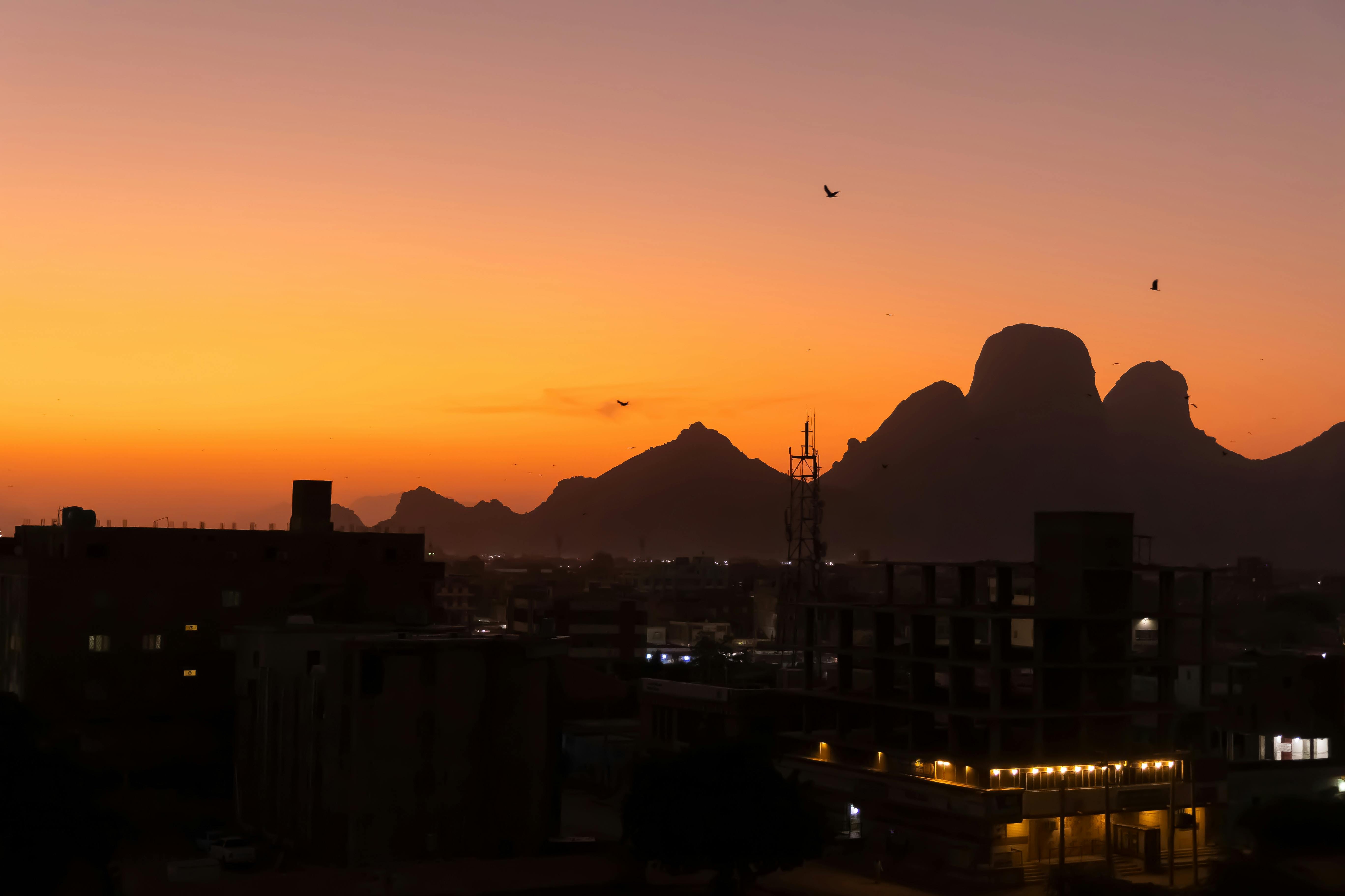 pexels-ammad-rasool-56680900-15745290